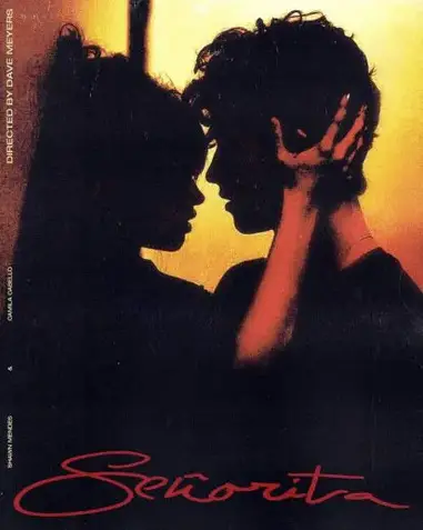 Shawn Mendes Camila Cabello Senorita Lyrics Review And Song Meaning Justrandomthings Shawn Mendes Camila Cabello Senorita Lyrics Review And Song Meaning Justrandomthings