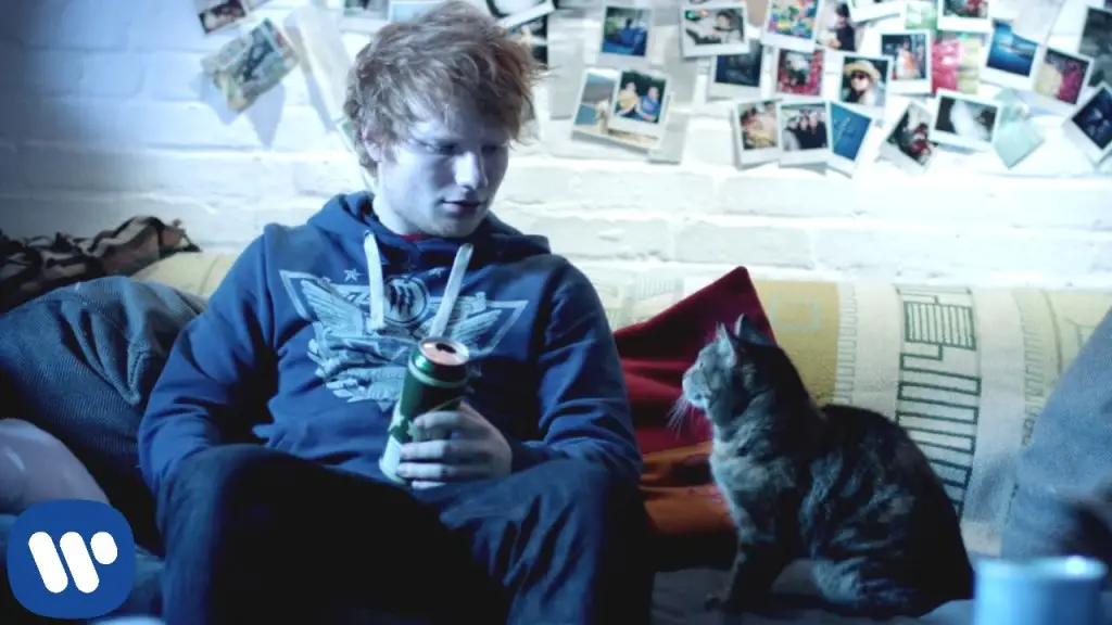 Ed Sheeran Drunk EDM