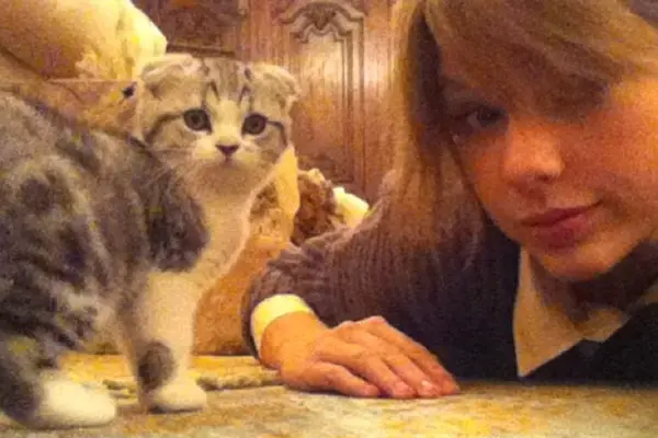taylor swift meredith grey 40 milliom