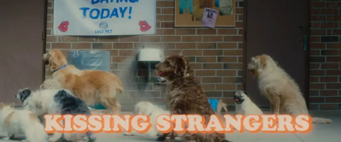 dnce kissing strangers lyric video