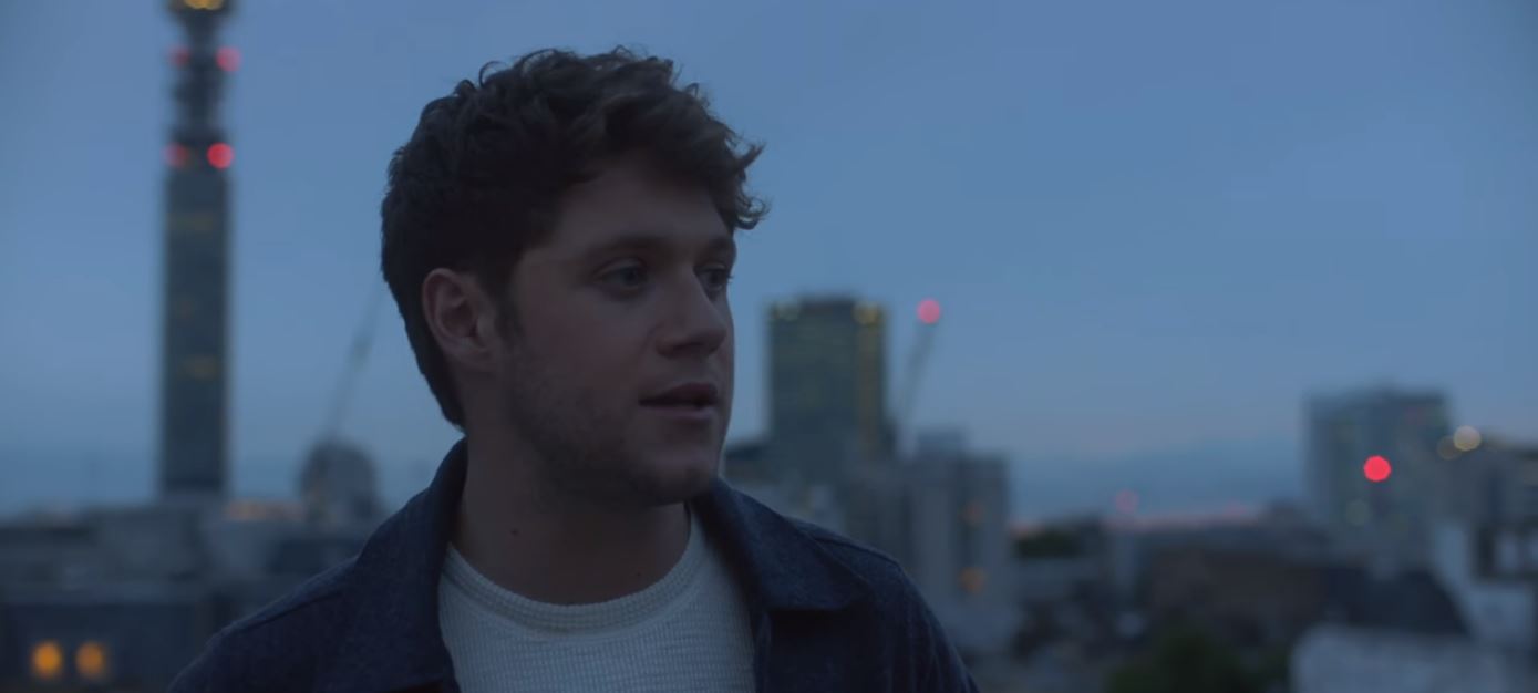 niall horan too much to ask lyrics song meaning