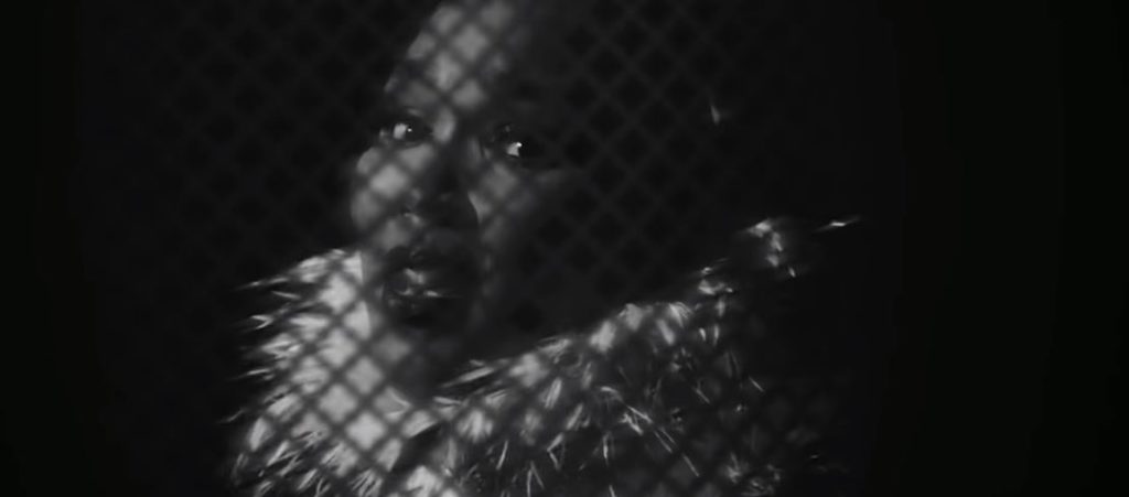 lizzo cuz i love you single video
