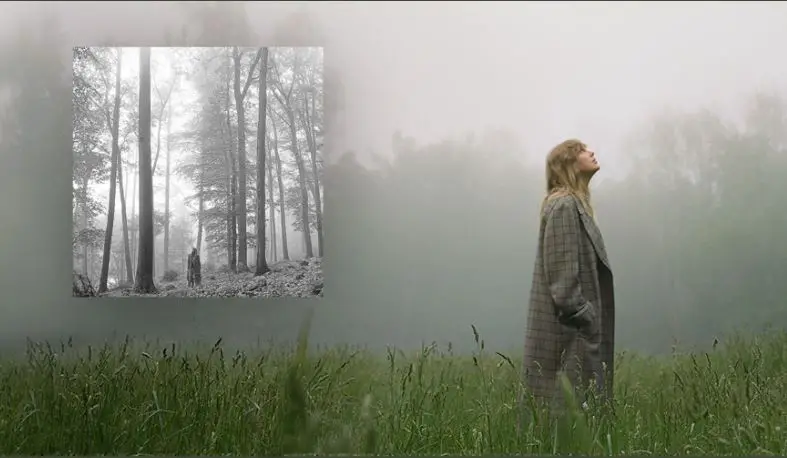 taylor swift epiphany